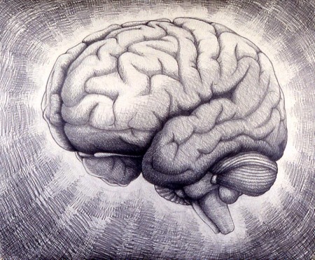 drawings_and_paintings-brains-brains01
